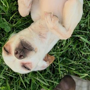 Meet your Posher, Elia